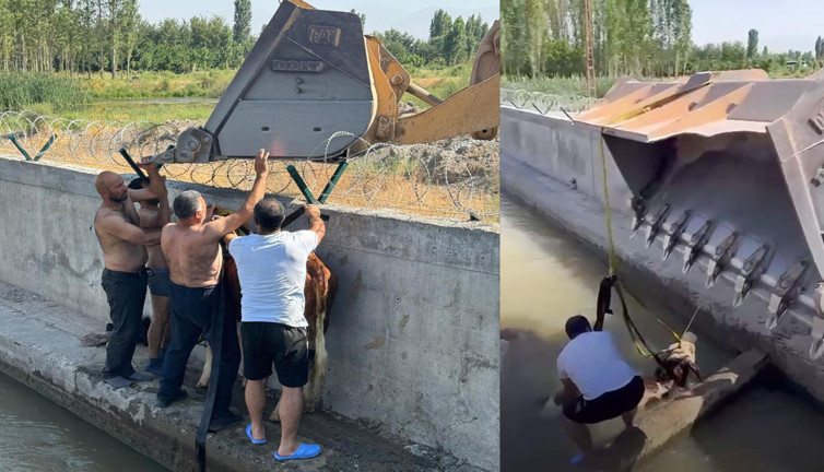 Dana kurtarma operasyonu