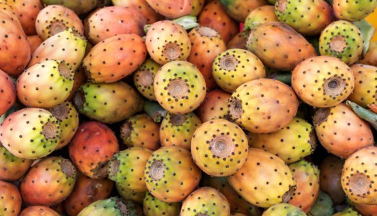 Sağlık bombası mı, hastane kapısı mı? Dikenli incir gerçeği ortaya çıktı