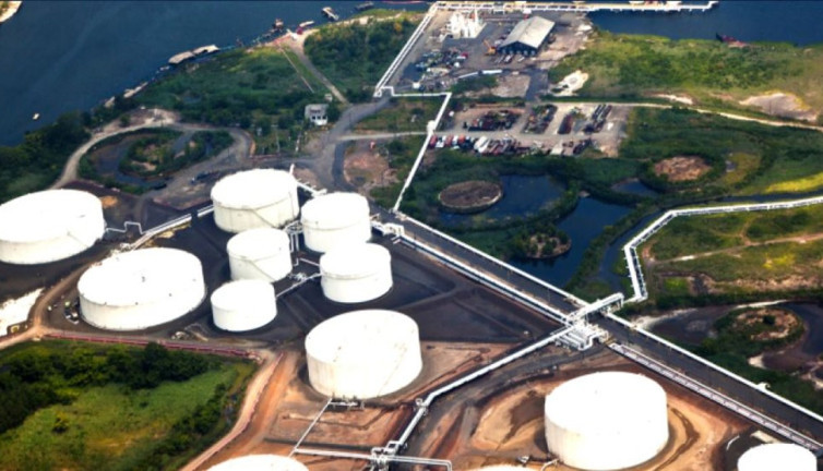 Nükleer santralde denizanası krizi: Üretim durdu!