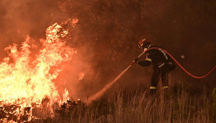 Orman yangınında 550 araç kullanılmaz hale geldi