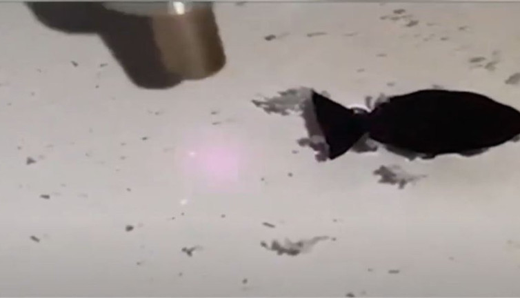 Robot balıklar kirlilikle savaşıyor! Denizler ve okyanuslar artık ter temiz olacak