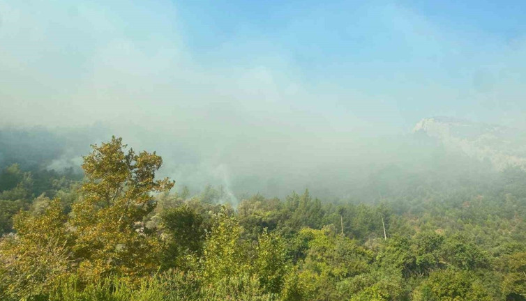 Bakan Yumaklı'dan orman yangını açıklaması