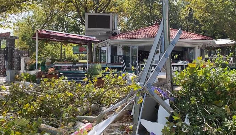 Bakırköy'de Atatürk Ormanı’nda rüzgar paniği! Ağaç yıkıldı