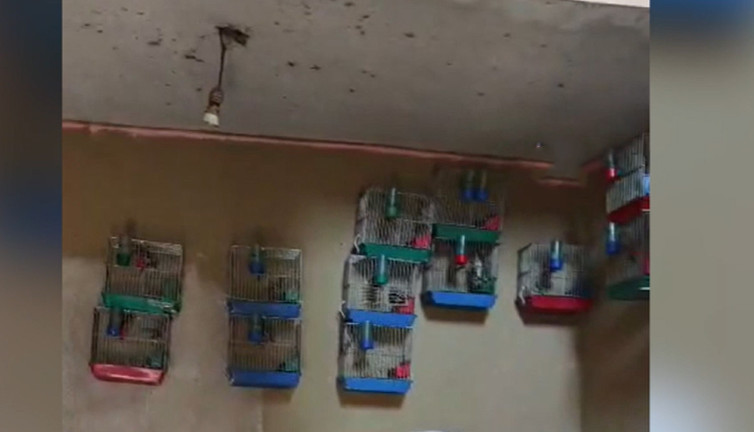 2 bin yıllık efsane! Şans getirdiğine inanılır: 21 adet ele geçirildi