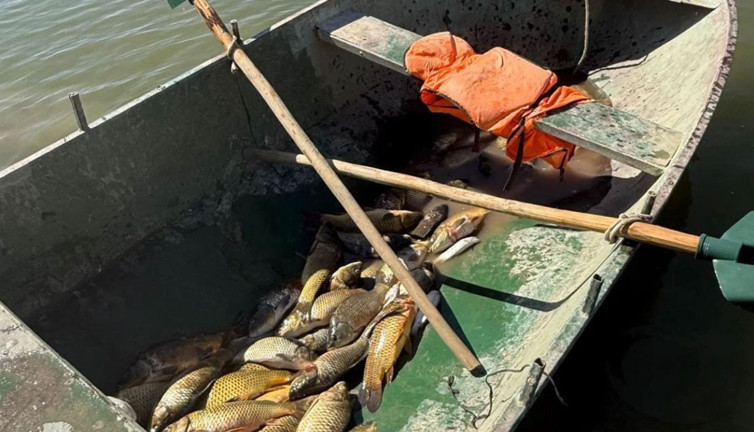 Kaçak balık avlayan 2 kişiye 25 bin lira ceza!