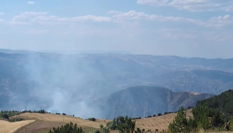 Çorum'da orman yangını!