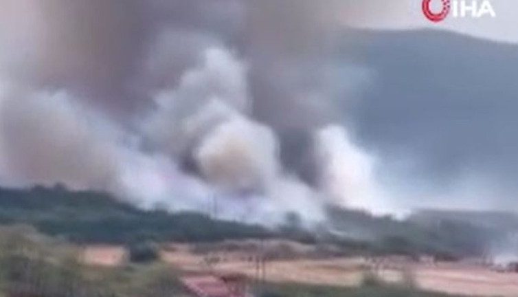 Bursa’da orman yangını