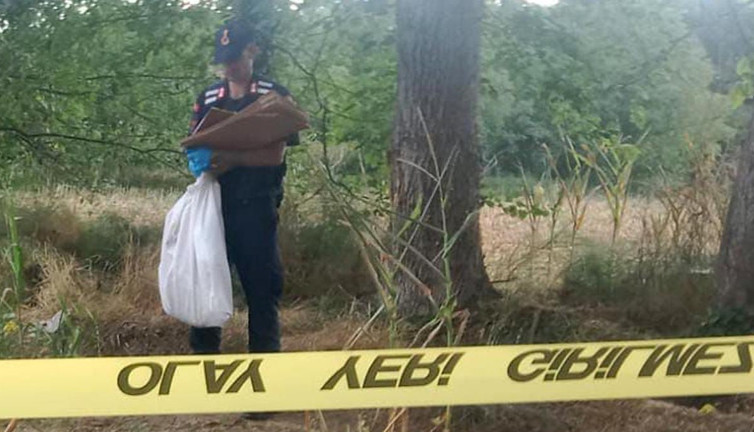 Mısır tarlasında kan donduran buluş! Kemikler, DNA testinde o kişiyi gösterdi