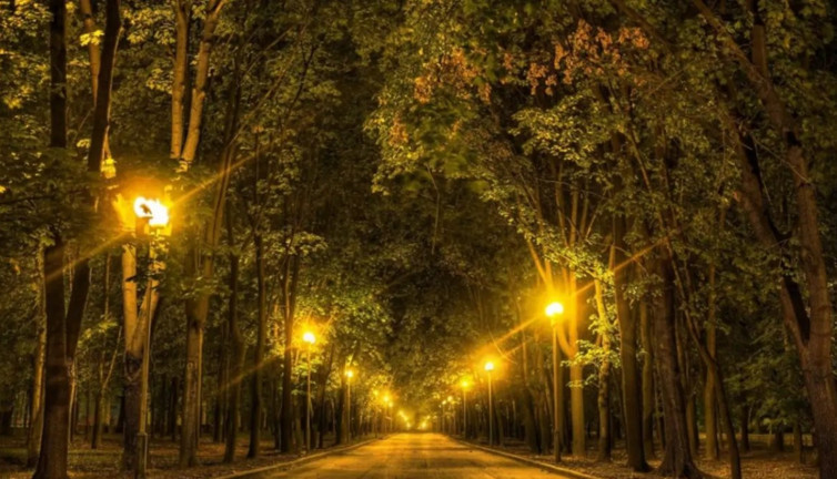 Işık kirliliği denizlerin sessiz katili mi? Okyanusları karanlığa gömüyor