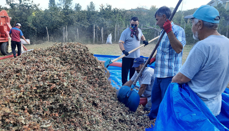 Hasadında gizli tehlike! Uzman Uyardı: Sezonu risk taşıyor