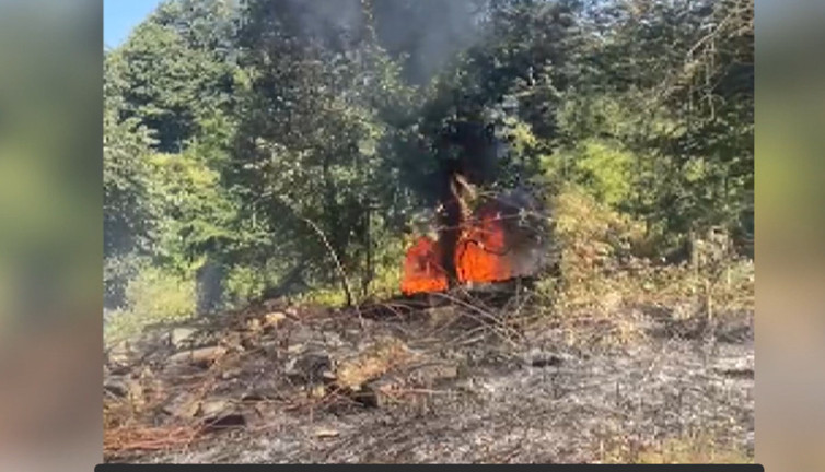 İstanbul’da orman yangın! Dumanlar gökyüzünü kapladı: Ekipler seferber oldu