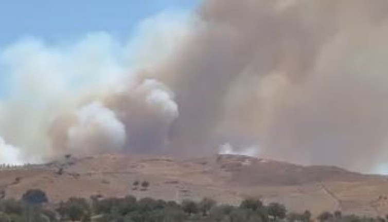 İzmir'de orman yangını
