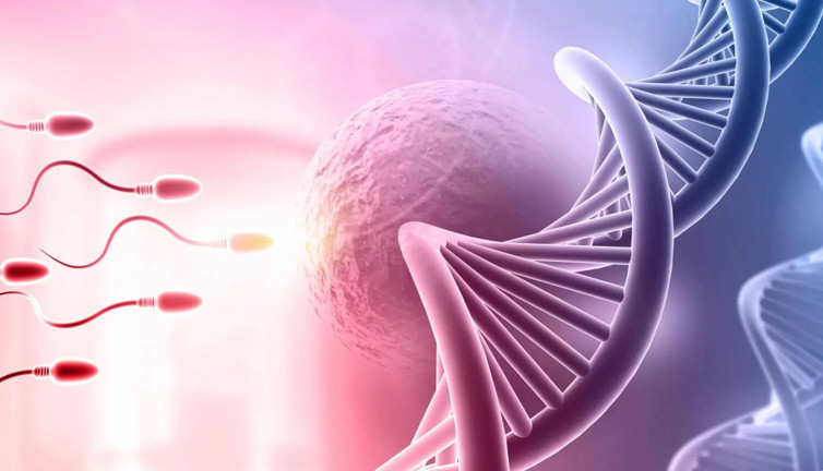Kısırlık ve kanser arasındaki gizli bağlantı gün yüzüne çıktı