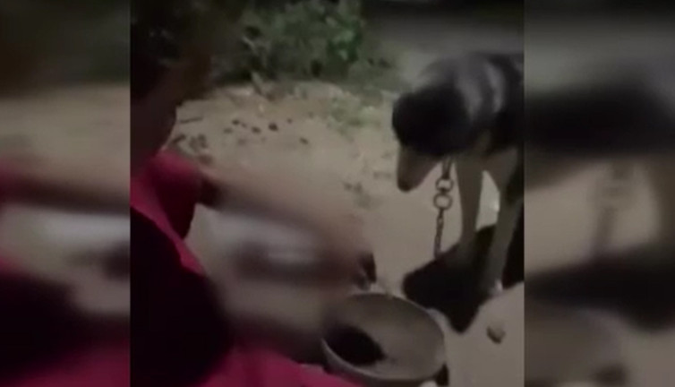 Vicdanları kanatan görüntü! Kana kana içti: “Benden alkolik” dedi