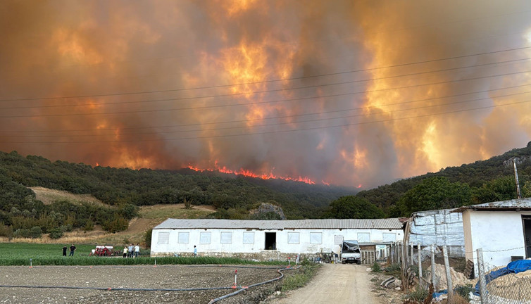 Bursa’da orman yangını! Alevler çiftliklere doğru yayılıyor: Köylüler seferber oldu