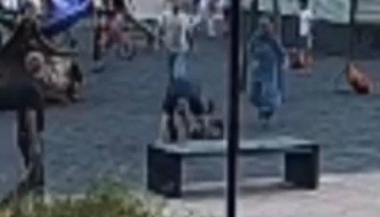 Parkta oynayan çocukları yerden yere vurdu