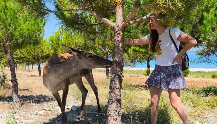 Salda Gölü’nde eşsiz an! Geyik piknik alanında ziyaretçilerin ilgisini çekiyor