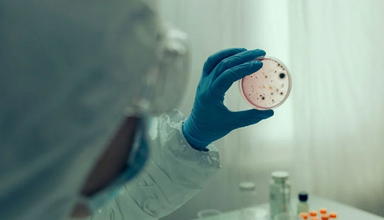 DSÖ'den salgın alarmı! Sudan bulaşıyor, ölüme götürüyor