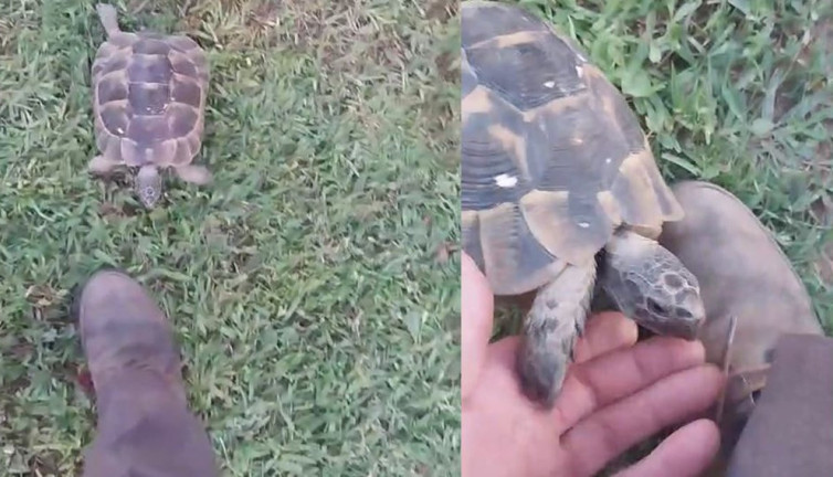 Rıfkı peşini bırakmadı: Yürek ısıtan dostluk!