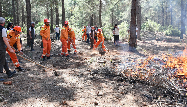 Ormanları yangından korumak için neler yapmalı?