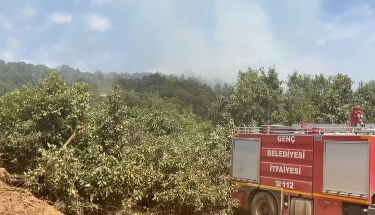 Bingöl’de orman yangını paniği: Helikopter devrede!