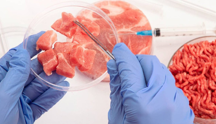 Yapay et sağlıklı mı? Uzmanlar bakın ne diyor