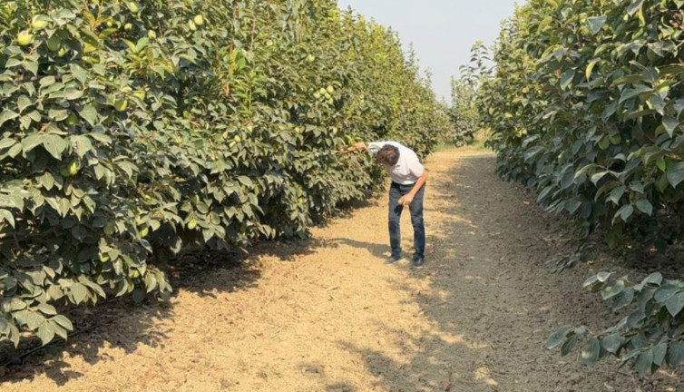 Cennet hurmasında büyük tehlike! Kritik uyarı yapıldı
