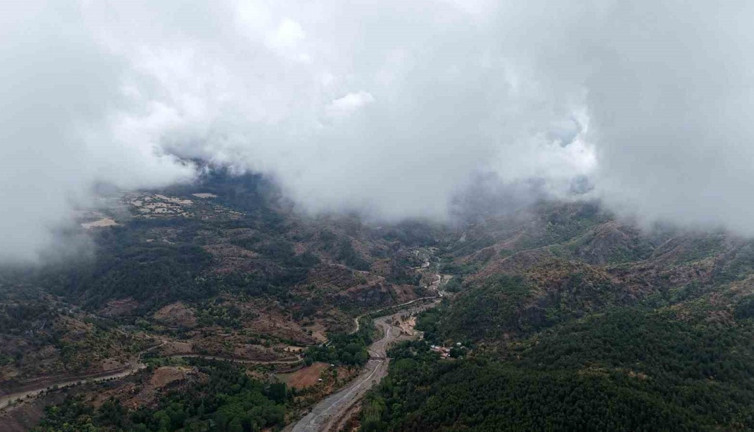 Ilgaz Dağı'nda sonbahar ve sisin görsel şöleni!