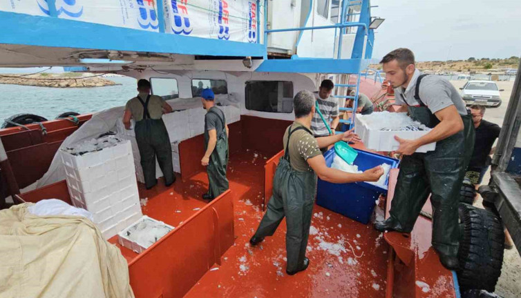 Balık fiyatları ile ilgili sevindiren haber: 1 ay sonra ucuzlayacak!