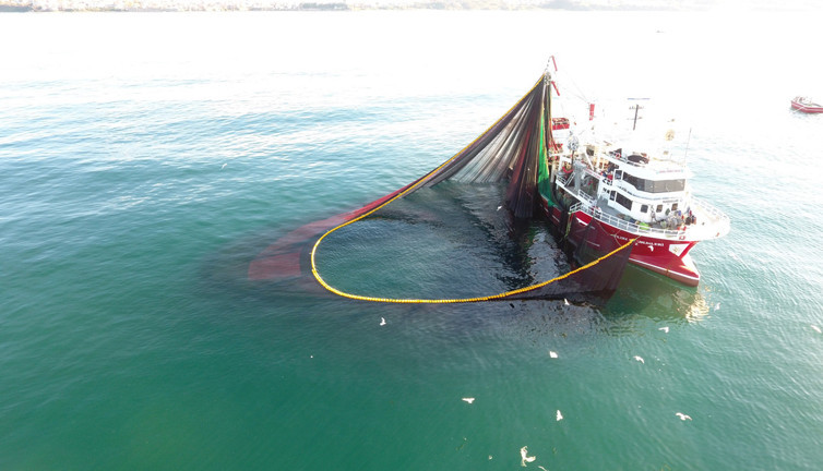 Sinop’ta balık sezonu bereketle başladı! Hamsi için geri sayım başladı