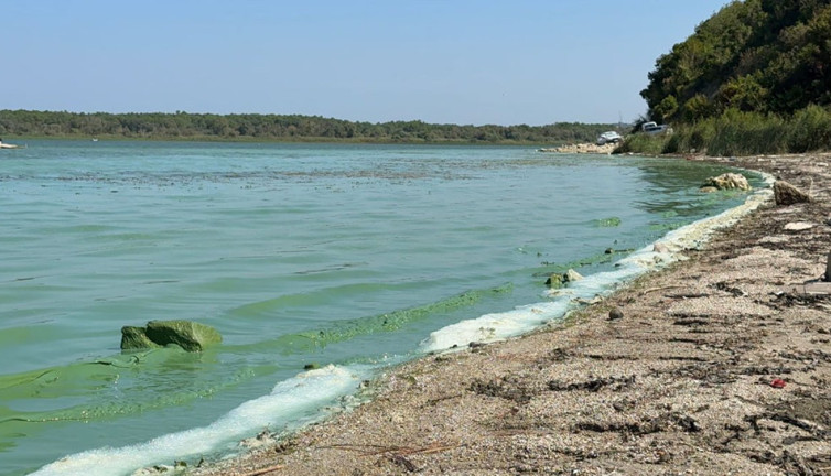 İstanbul'da kabus gibi görüntü! Lıkır lıkır içilen su köpürdü, rengi anında yeşile döndü