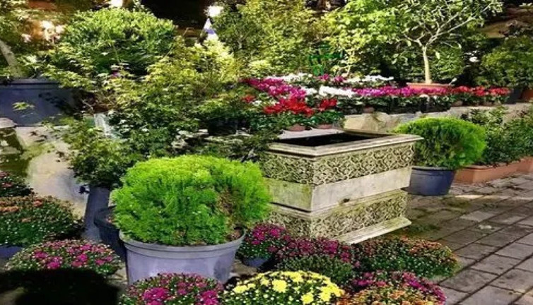 Şifa veren botanik bahçeleri! İyileşme sürecinde doğa mucizesi