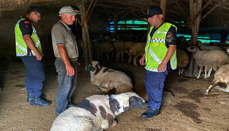 Kırşehir’de hırsızlara dron şoku