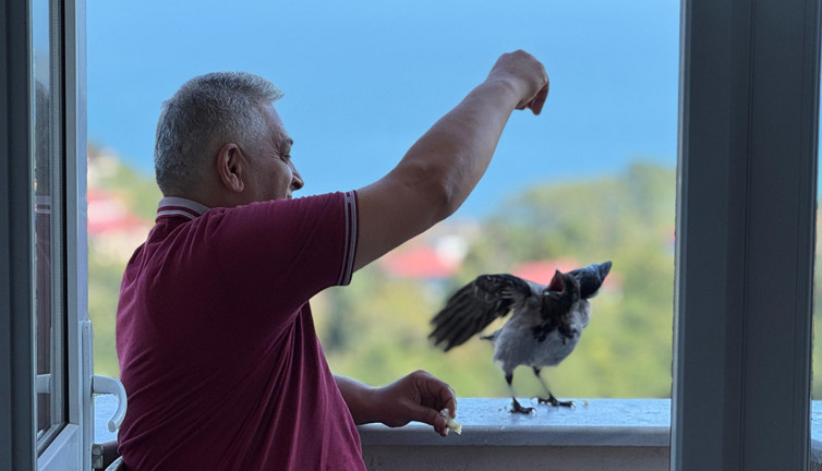 Fındık bahçesinden gelen dostluk! Hamsiyi çok seviyor