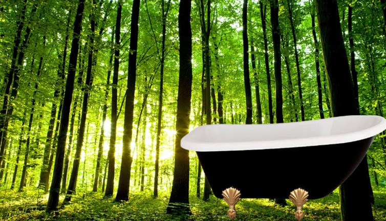 Doğanın iyileştirici gücü: Orman banyosu stresi azaltıyor mu?