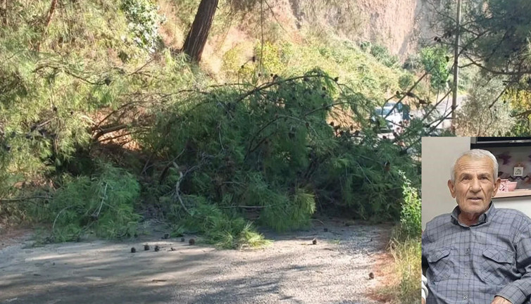 Ağaç kesme çabası felaketle bitti