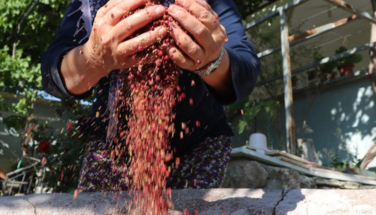 Türk mutfağının gizli hazinesi