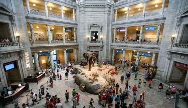 Soygun müze kapattırdı. 1 ayda ikinci kez gerçekleşti. Köşeyi döndüler