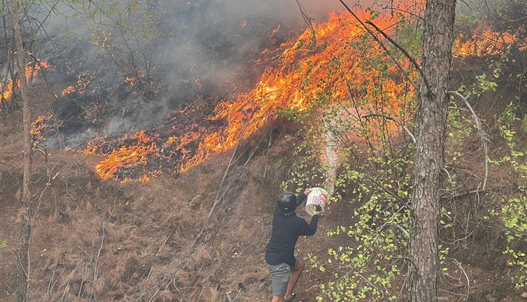 Muğla alevler içinde! Eğitime ara verildi: 108 ev boşaltıldı: 357 kişi tahliye edildi