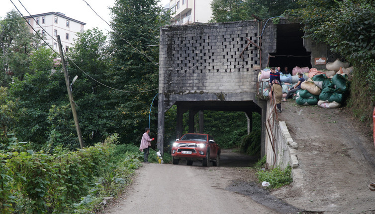 Karadeniz’in pratik zekasında son harika! Kamyonlar durmadan çayı alıp gidiyor