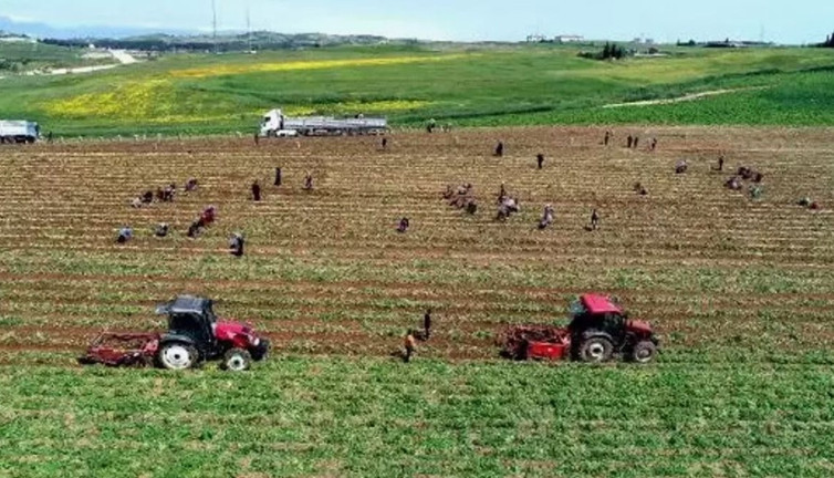 Müşterisi ısrar edince şansa buldu restoranı para bastı. Türkiye'de de girmeyen tek ev yok.