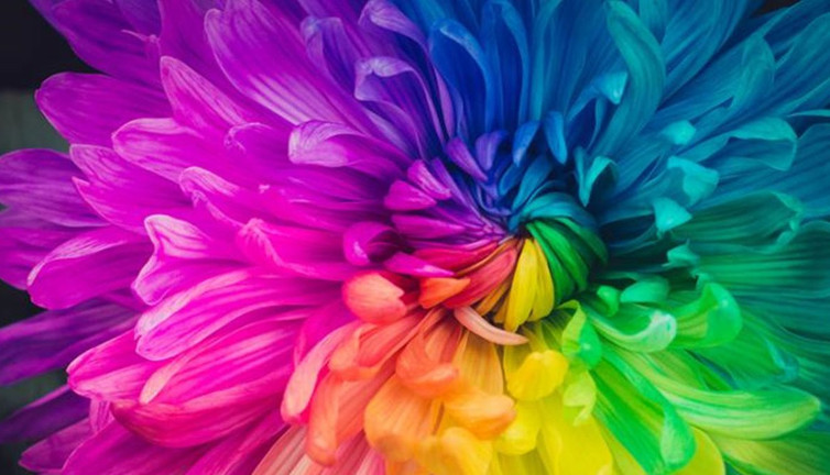 Renklerin sır perdesi aralanıyor: Sevdiğimiz renkler yaşımızı mı ele veriyor