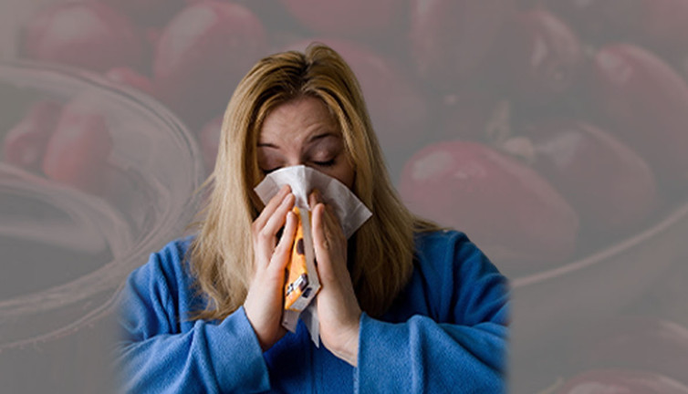 Gribi anında bitiriyor! Kalbi makine gibi çalıştırıyor! Bir kere eken 100 yıl hasat ediyor! Kilosu 500 TL'den satılıyor