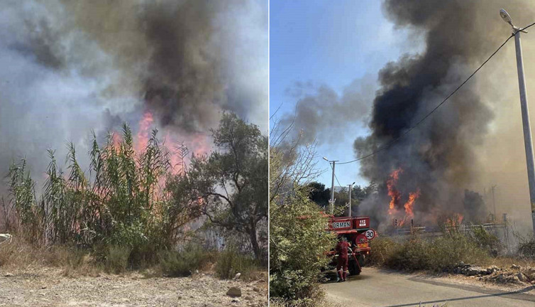 Sazlık alanda yangın paniği!