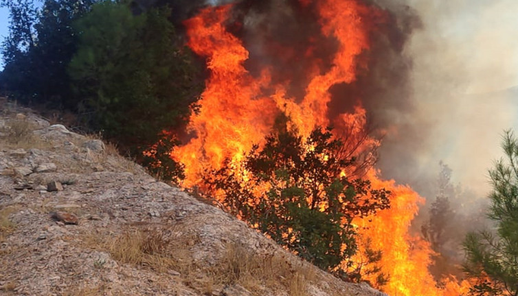 Balıkesir’de orman yangını! Ekipler söndürmek için seferber oldu