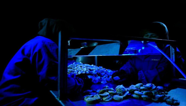 Türk gıda devi iflasın pençesinde. 14 ülkeye ihracat yapıyor