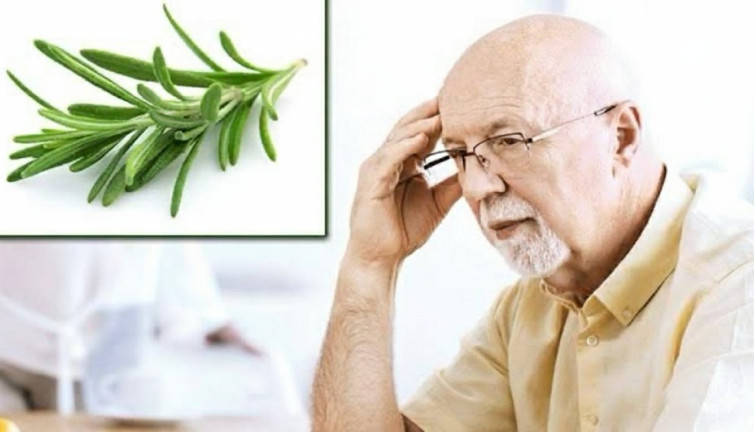 Biberiye unutkanlığa şifa oluyor! Uzmanlar anlattı