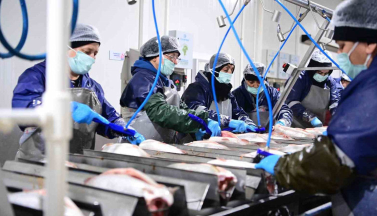 Sinop'tan iyi haber: Ülke liderliği devam ediyor!