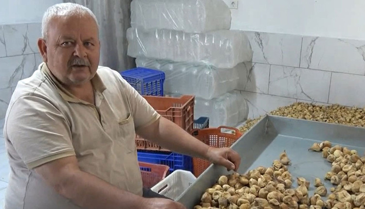 İncir üreticisi isyan etti: Sesimizi duyan yok!