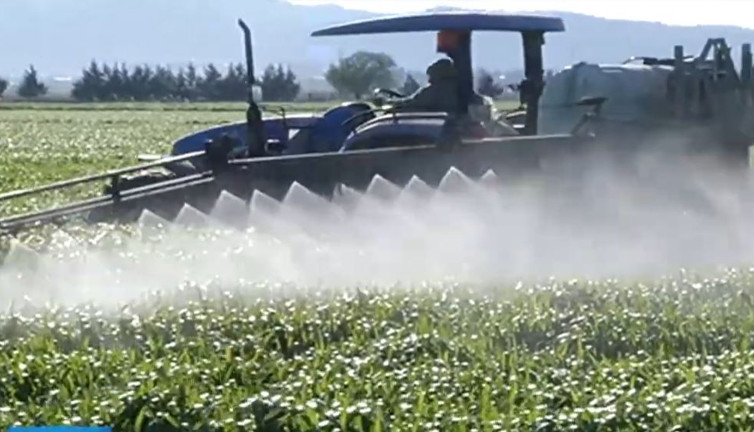 Türkiye'nin gururu Lukas Makine iflas bayrağını çekti. 30 ülkeye ihracat yapıyordu